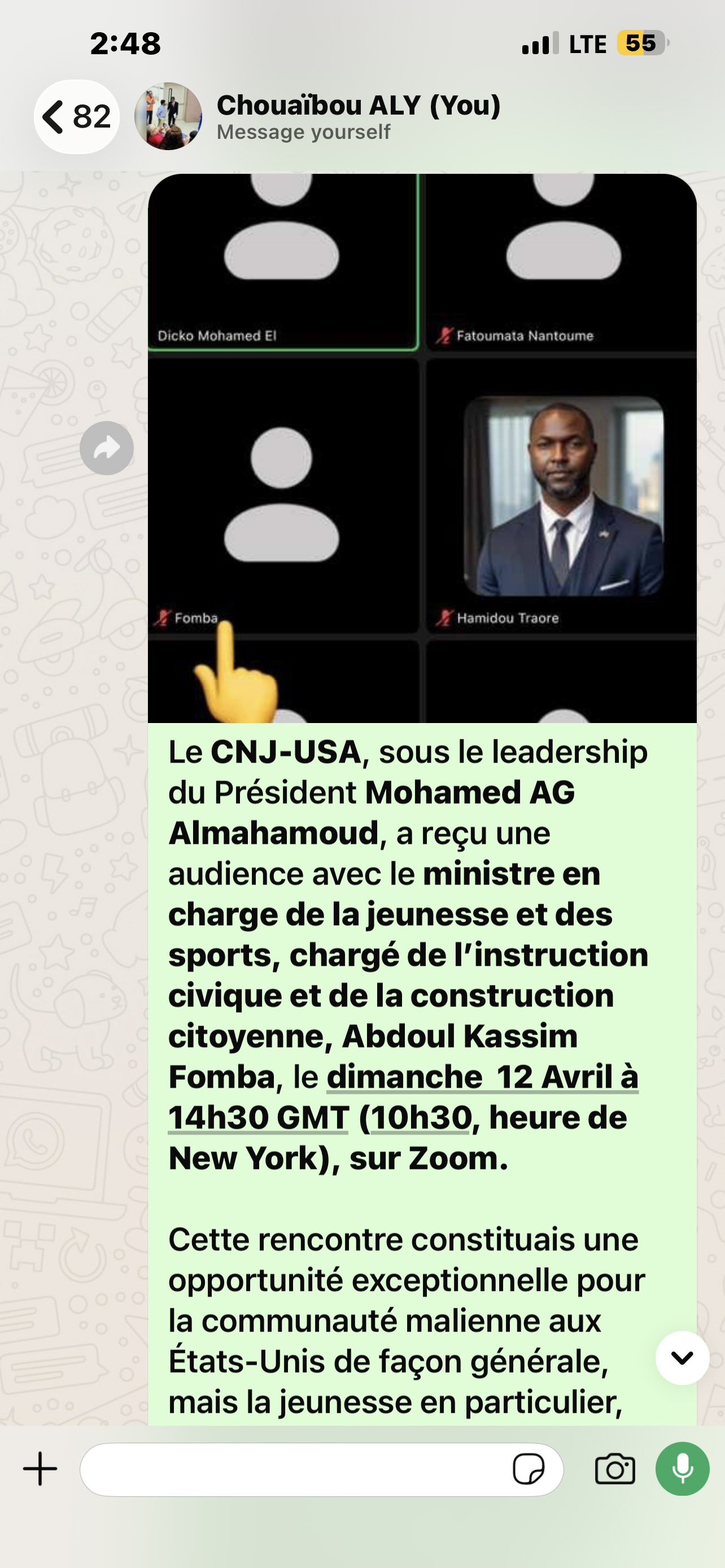 Capture de la rencontre en ligne avec le ministre chargé de la Jeunesse